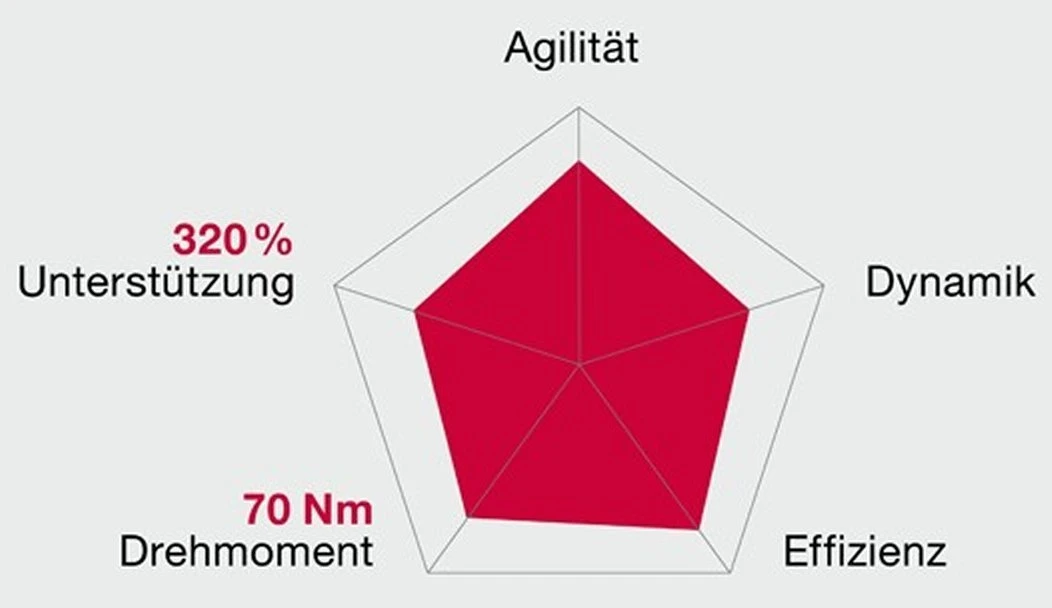 Brose Motor 250 Watt Drive-T Mag Ab 2020 (neu) â Bild 4