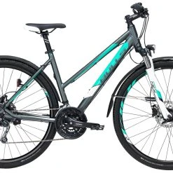 Bulls Cross Street Disc 2019