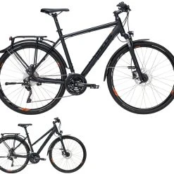 Bulls Street Mover 2019