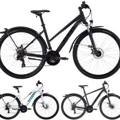 Bulls Wildcross Street 2022