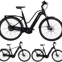 Kettler Quadriga Pro Belt Enviolo 2019