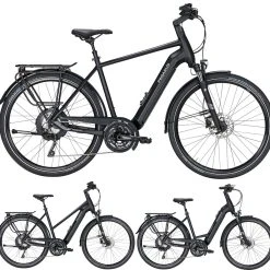 Pegasus Lavida-Evo-Plus 30-Gang 2020/2021