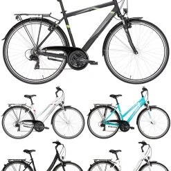 Pegasus Avanti 2018 21-Gang