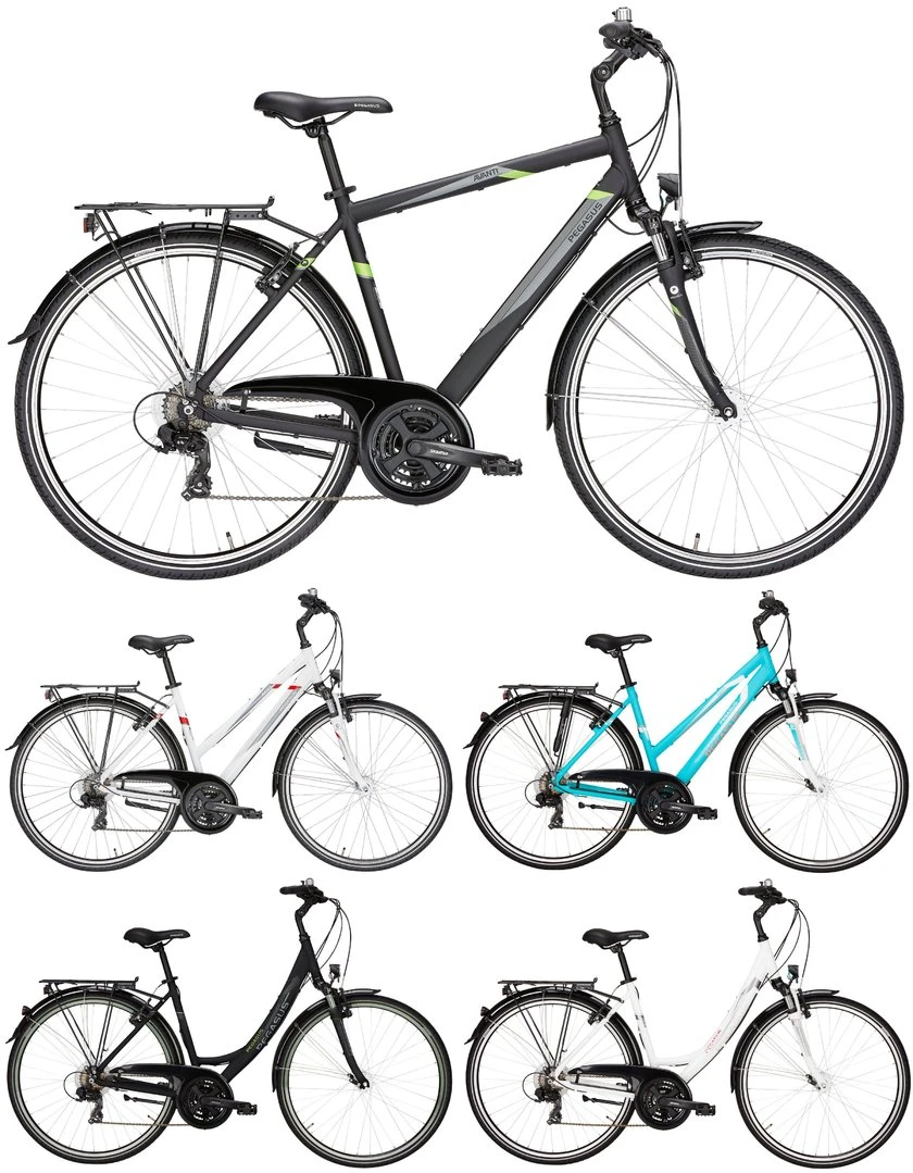 Pegasus Avanti 2018 21-Gang