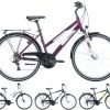 Pegasus Avanti 2023 18-Gang -Zemo Geschäft Pegasus Avanti 2023 26 Zoll 18 Gang Kettenschaltung Strassenausstattung Nabendynamo LED Licht Staender Gepaecktraeger Schutzbleche