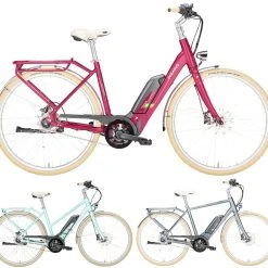 Pegasus Macaron-E 2018