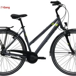 Pegasus Piazza 2020/2021 21-Gang 20 Pegasus Piazza 2020/2021 21-Gang -Zemo Geschäft Pegasus Piazza 2020 21 Gang Damen Trapez grau matt lime 526 00945 00950 00953