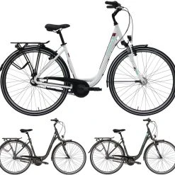 Pegasus Piazza 2020/2021 7-Gang