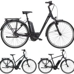 Pegasus Premio-E8F-Belt Comfort 8-Gang 2019