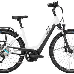 Pegasus Premio-Evo-10 Lite 2022 -Zemo Geschäft Pegasus Premio Evo 10 Lite 2022 Damen Wave Unisex Tiefeinstieg metallic off white black matt weiss schwarz 644 645 646 32545 32550 32555