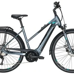 Pegasus Premio-Evo-10 2021 11 Pegasus Premio-Evo-10 2021 -Zemo Geschäft Pegasus Premio Evo 10 2021 Damen Trapez grey grau tuerkis mint 734 735 736 35645 35650 35655