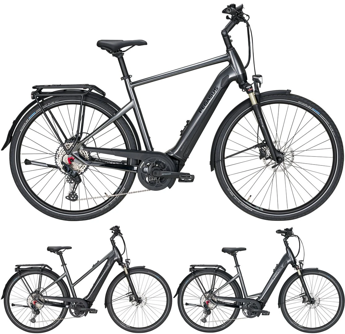 Pegasus Premio-Evo-12 Lite 2020 3 Pegasus Premio-Evo-12 Lite 2020