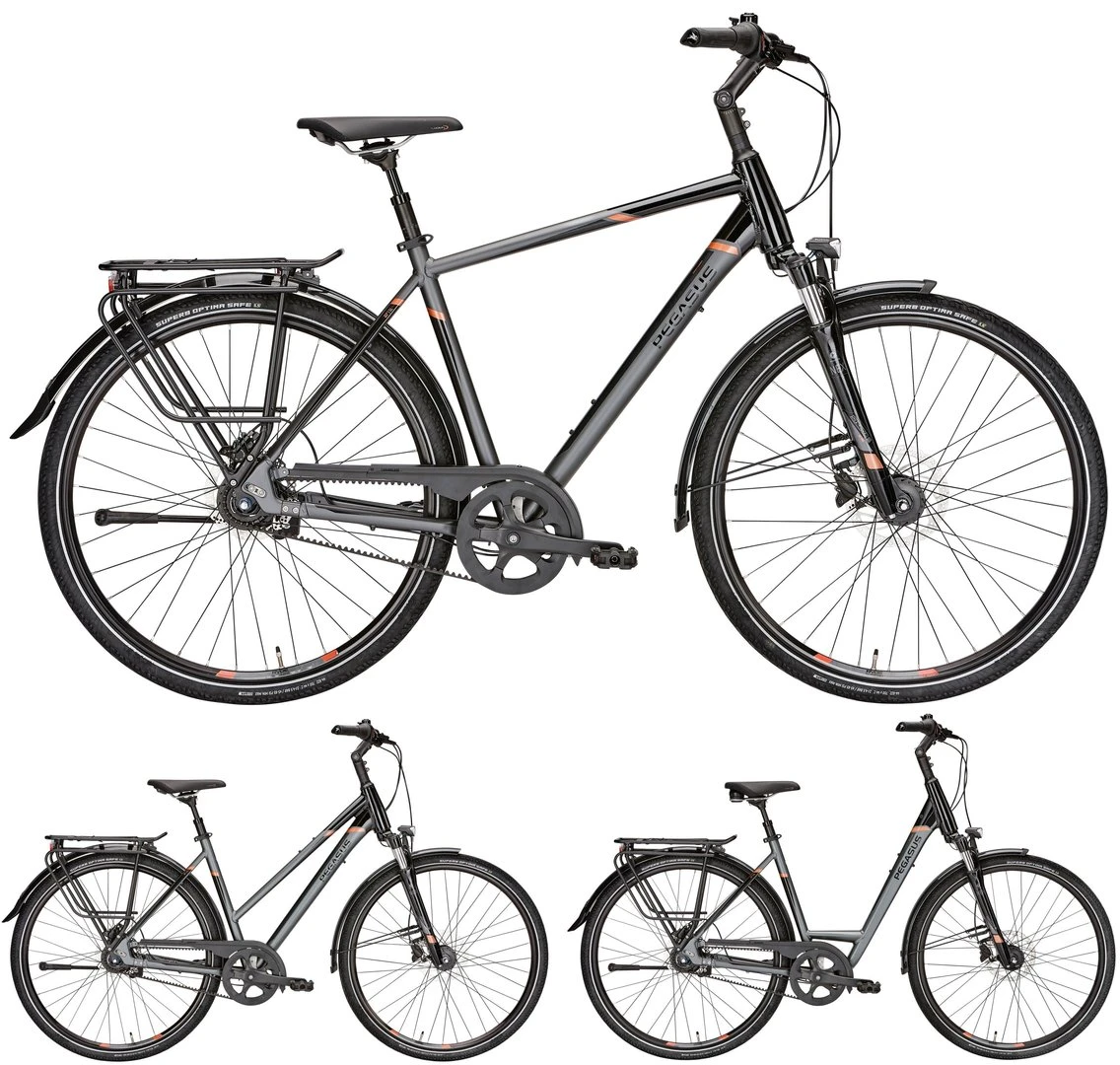 Pegasus Premio SL-Belt 2019 8-Gang 3 Pegasus Premio SL-Belt 2019 8-Gang