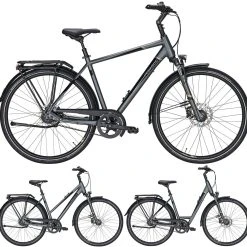 Pegasus Premio SL-Belt 2020-2021 8-Gang