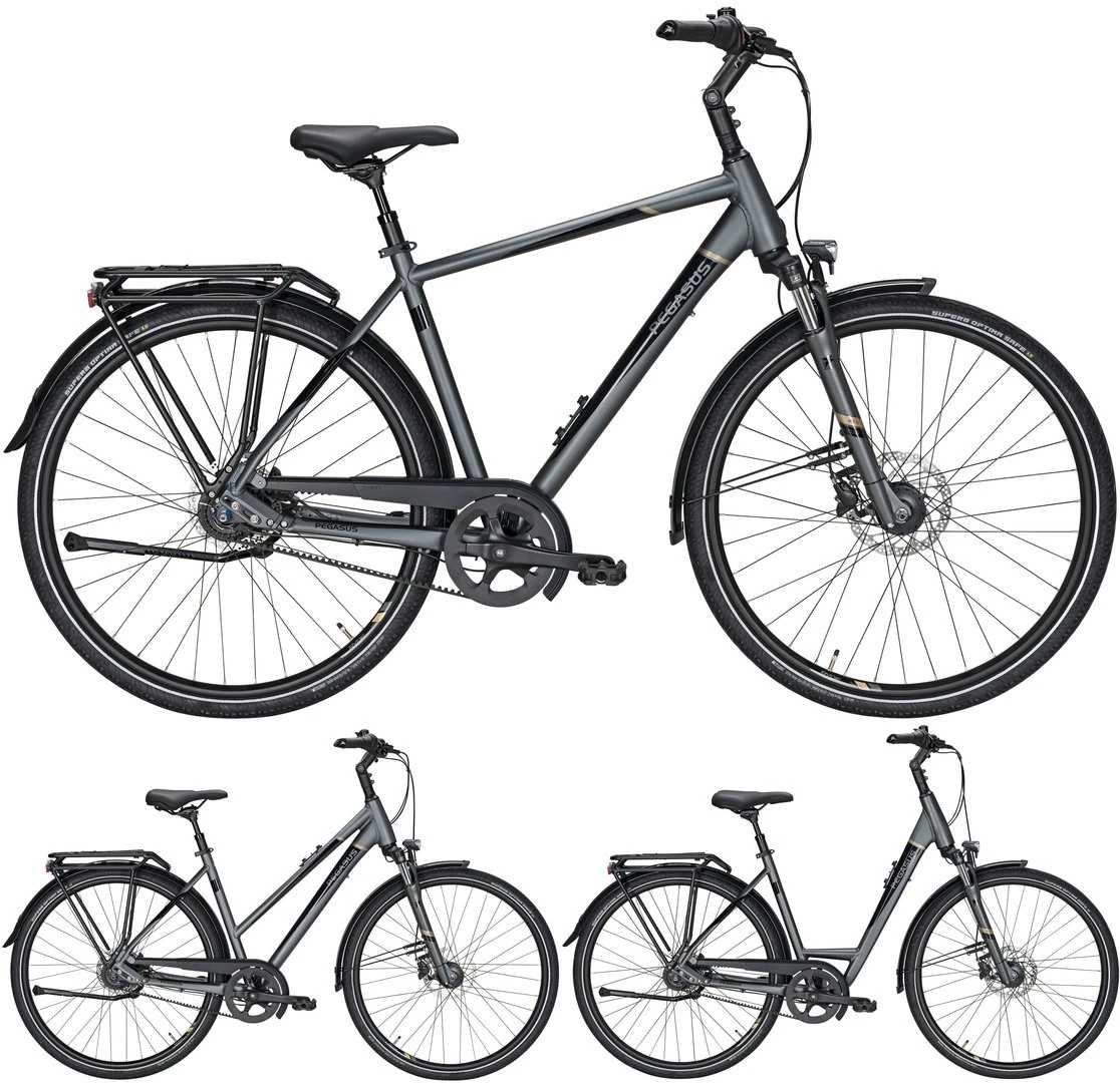 Pegasus Premio SL-Belt 2020-2021 8-Gang