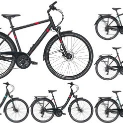 Pegasus Solero-Disc 2020/2021 24-Gang