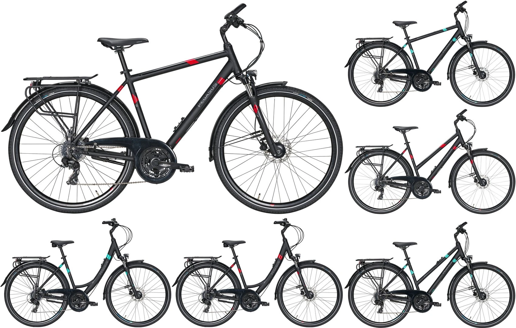 Pegasus Solero-Disc 2020/2021 24-Gang