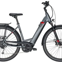 Pegasus Strong Evo-9 2020 7 Pegasus Strong Evo-9 2020 -Zemo Geschäft Pegasus Strong Evo 9 2020 Damen Wave grau matt schwarz rot 714 715 716 68445 68450 68455 68460